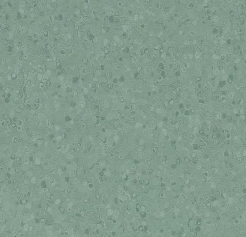 50077| kelp