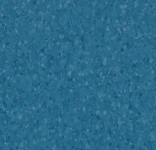 50081 | ocean
